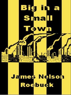 cover image of Big in a Small Town